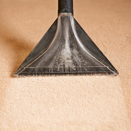 Carpet cleaning | Big Bob's Orem