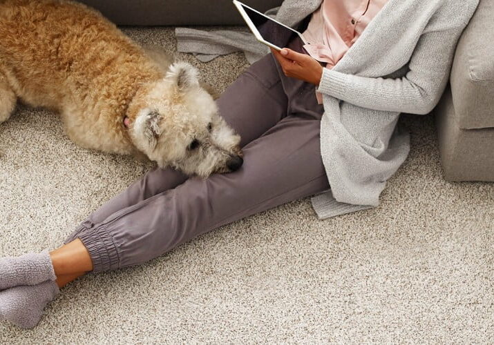 Lady with dog sitting on carpet floor | Big Bob's Orem